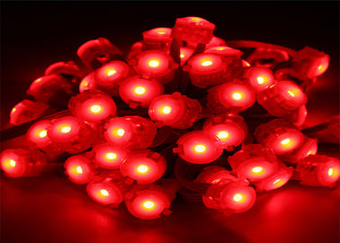 Wasserdichtes Rot-Pixel 0.25W 20mm führte Licht der Beleuchtungs-12 des Volt-LED