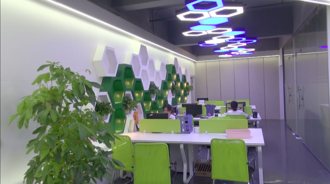 CHINA Shenzhen Xinhe Lighting Optoelectronics Co., Ltd. Unternehmensprofil