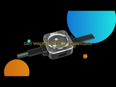 2904 RGBW führten helle IP67 wasserdichte RGB LED Licht-Kette 1903 des Punkt-im Freien