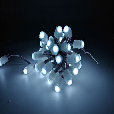 Acrylic Led Backlight RGBIC DC5V Jellyfish Christmas Lights for Outdoor Decoration