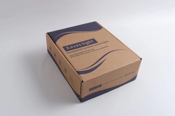 IP67 waterproof RGBW colors smart voice control led permanent outdoor string point eaves light 24V