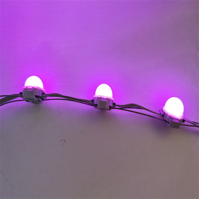 40mm Single Color DC24V IP67 SMD3535 LED Node Dot String Pixel Point Lights for Facade Lighting