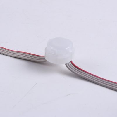 Christmas Color Monochrome Outdoor Decoration Lamp with 120 Degrees Beam Angle and IP67 Waterproof