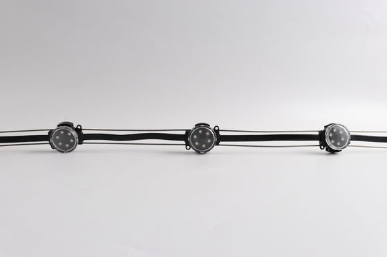 40mm Factory Directly Sale Outdoor Permanent Holiday Decoration Light LED Point Pixel Light