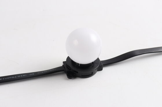 Stable High Brightness IP67 Decorative LED Globe Lamp With Imported Light Source For Theme Park And Municipal Street Lighting Projects