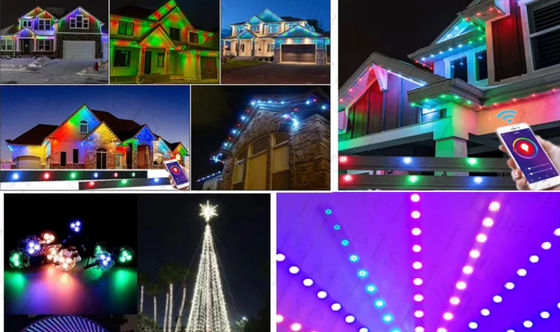 2904 RGBW Led Point Light IP67 Outdoor Waterproof 1903 RGB LED Light String