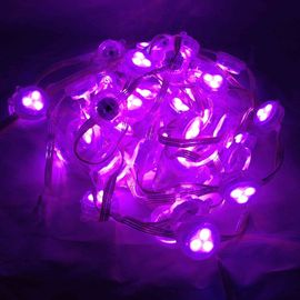 30mm DC12V RGB farbenreiches LED Pixel-Modul mit Steuerung DMX512