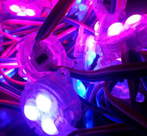 30mm SMD 5050 12V rgb führten Pixel mit farbenreichem-----11 Jahre Erfahrung herstellend