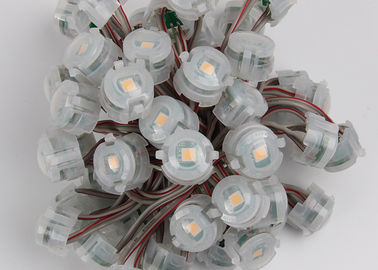 DC12V im Freien 20mm SMD 5050 IP67 führte Pixel-Weihnachtslichter 2000mcd