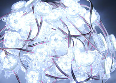Weißes Pixel RGB 30mm IP67 6 des Chip-LED Zeichen-DC24V LED für Beleuchtungs-Kasten
