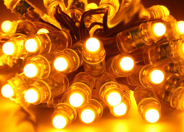 Imprägniern farbenreiches RGB LED Pixel-Licht DC5V Epistar 03W 12mm 2 Jahre Garantie