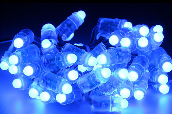 IP67 LED Pixel Light Outdoor Waterproof 12MM 0.3W DC5V TTL6898 RGB