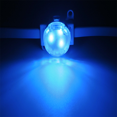 Licht 1W Smd3535 DC12V RGBW 30mm Wunder-Bean Outdoor Waterproofs IP67 Punkt-LED