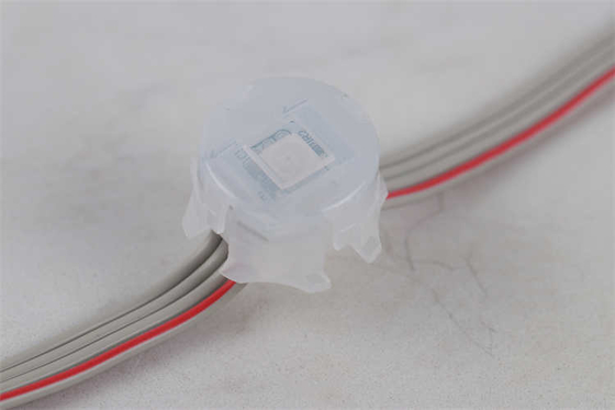 20MM dauerhaftes Feiertags-Licht 5050 Rgb Rgbw 1903 IC geführtes Punkt-Licht des Pixel-2904 Dmx512