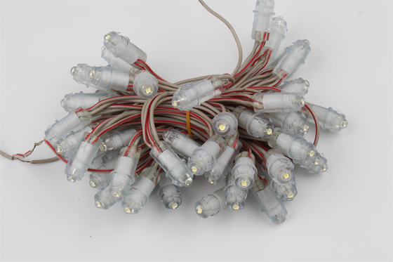 Hohe Helligkeit DC12V einfarbige LED-Pixelleuchte für den Außenbereich IP67 SMD2025
