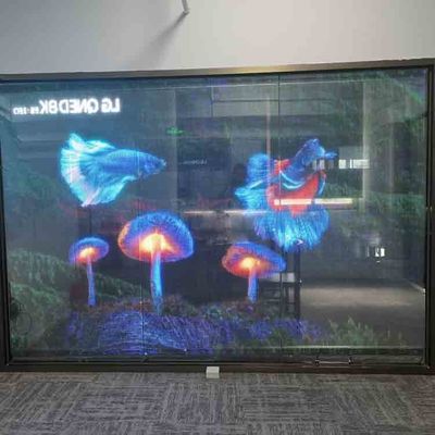 Innenbereich Transparent LED Film Display Vollfarbe Flexibler Transparent LED Bildschirm