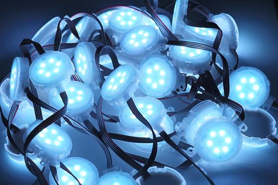 hohe Helligkeit 50mm 24v LED-Punktlicht für Außendekoration
