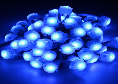 Blaues DC12V 5050 20mm LED Pixel-Licht IP67 0.25W mit Öffnungswinkel 120
