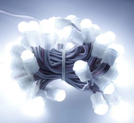 weißes LED-Licht Außenwasserdicht 50 LEDs DC 12V 9mm Led Pixel String Light