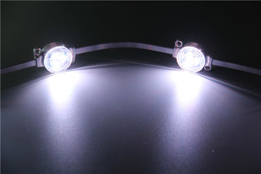 Farbenreiches SMD5050 DC12V LED Punkt-Licht DMX-Steuer-RGB für das Errichten