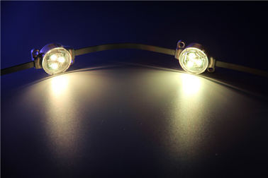 Wasserdichtes Punkt-Licht IP67 5050 SMD RGB 3pcs LED 30000 Stunden Lebensdauer-