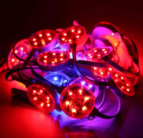 40mm im Freien 50mm SMD3535 DMX Digital RGB führten das wasserdichte Pixel IP67