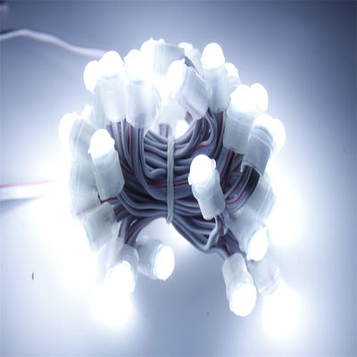 Epistar DC 5V Ip67 0,3W Adressierbare Led-Lichtkette