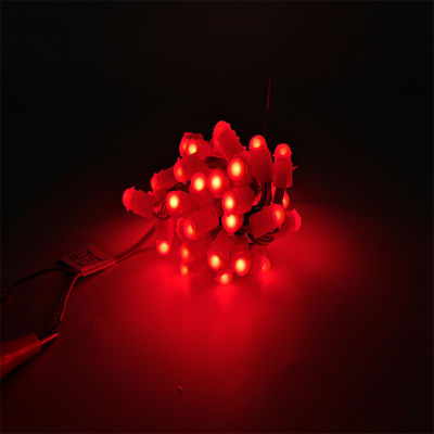Miracle Bean LED Weihnachtsdekorationen LED Punktlicht Einfarbige LED programmierbare Pixellicht