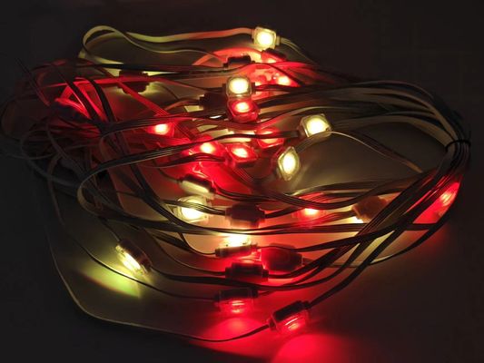 Christmas Colorful Pixel LED Lights For House Eaves 12V 20MM Decorative Lamp