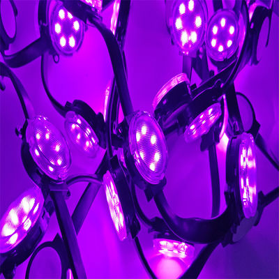 Großhandel 24v 4cm Durchmesser LED Pixel Lichter PC Materialien LED Weihnachten Feiertag RGBW Wasserdicht 1,5W
