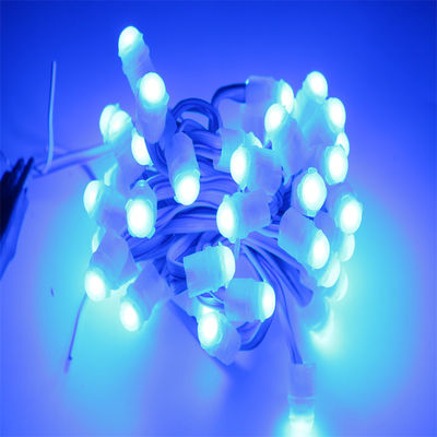 Guter Preis IP67 Wasserdichtes LED Pixellicht DC12V 0,2 Watt mit 160° Blickwinkel und 30 000 Stunden Lebensdauer