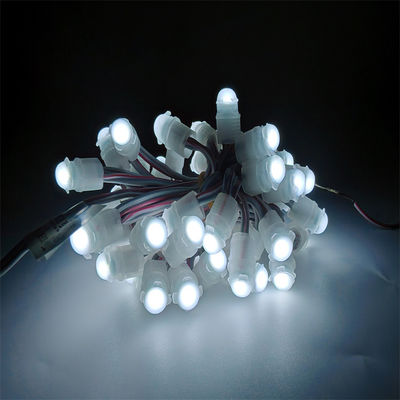 Guter Preis IP67 Wasserdichtes LED Pixellicht DC12V 0.2W mit 30000 Stunden Lebensdauer Außendekoration Wechselbar