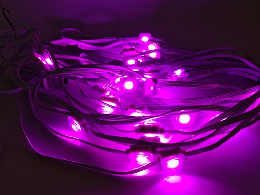 Decorative Waterproof Outdoor Smart Pixel Led Eaves Light RGB Controller Permanent Roof Lighting Point Light