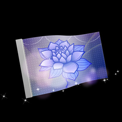 P10 Flexible LED Transparent Film Screen 960mm*240mm mit hängender Anlage