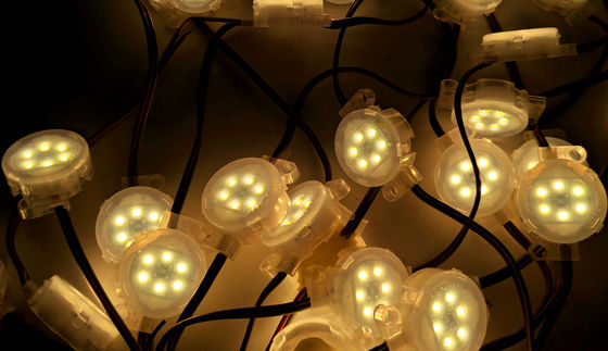 Waterproof Pixel Point Light Source 30mm SMD5050 IP67 DC12V Voltage for Outdoor Building