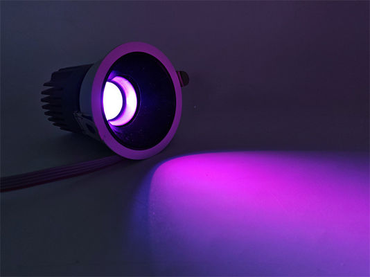 Einstellbares Innenlicht 20W Kreisfarbenbeleuchtung mit Frequenz 50-60Hz