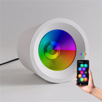 60 Watt verstellbares RGBW-LED-Downlight für Restaurant- und Ladenbeleuchtung