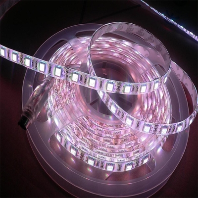 FPC Flexible PCB Board LED 5050 RGBW Hochhelligkeit multifunktionale Beleuchtungsprodukte 5000*12*4,0mm DC24V LED-Breitlicht