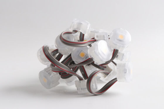 RGB DC12V 20mm IP67 PC Waterproof DMX 0.75W 6LM SMD5050  LED Pixel Light Outdoor Point Lights