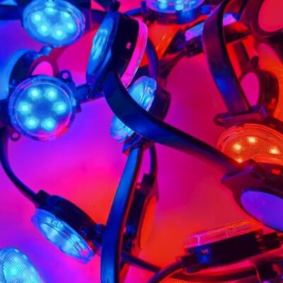 DC24V SMD3535 IP67 wasserdichtes LED-Punktlicht für den Außenbereich mit hervorragender Beständigkeit gegen Umweltfaktoren