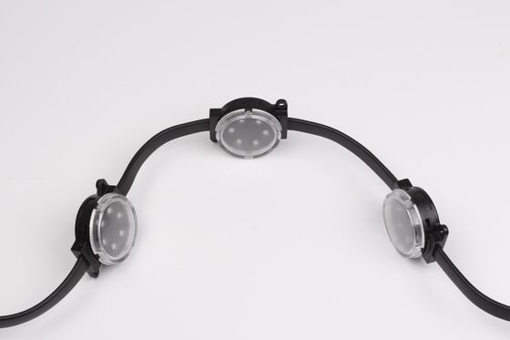 Outdoor Building RGBW 48V 40mm Facades Hotels Contour Decorations IP67 Eave Lamp Christmas Lights 2W Led Point Light Source