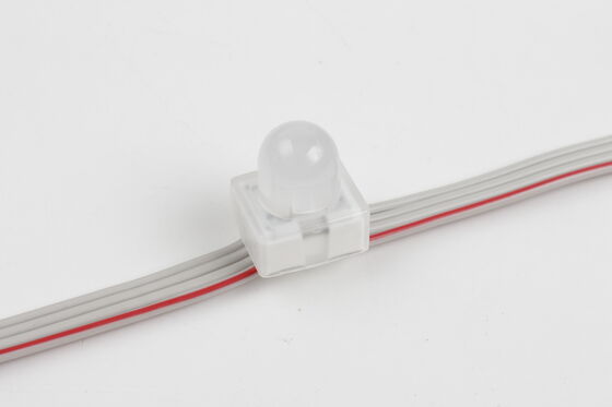 12 mm RGB SMD5050 LED-Punktlicht IP67 DC5V Durch-Loch-Ankerpixellicht mit 160 Strahlwinkel