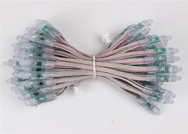 Wunder Bean RGB führte Größe Unprogrammable des Pixel-Modul-1903 0.3W DC5V 12mm 2 Jahre Garantie-