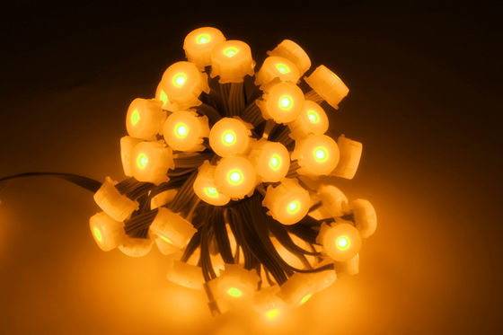 Farbenreiches wasserdichtes LED Pixel 0.3W 5V IP65 20MM