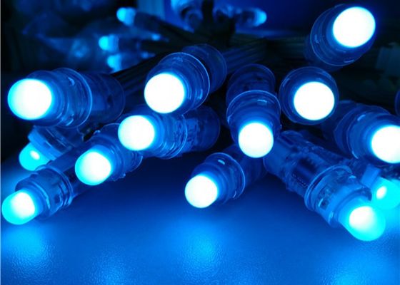 Zugängliches Weihnachtenws2811 Wunder-Beans 12mm Rgb farbenreiches Pixel-Licht 1903 RGB F8 12mm 5V 12V LED von der Fabrik