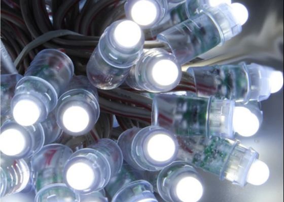 Vergnügungspark 12V 5V führte Pixel des Pixel-Licht-0.3W RGB WS2811 1903 Digital für Weihnachten