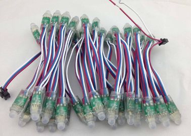 IC-Modell 9823 Ketten-Licht RGB LED Pixel-LED mit ROTEM Draht + weiß- Blau