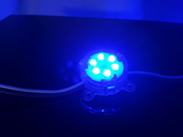 Farbenreiches LED Pixel-Licht DCs 24V RGB für LED-Schild, 12mm LED Pixel