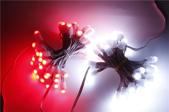 Wasserdichtes Pixel LED SMD2025 12V IP67 beleuchten 0.15W 9mm