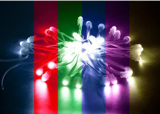 Wunderbohne wasserdichtes 0.2W 23LM SMD LED Pixel-Modul 9mm 12v SMD2025